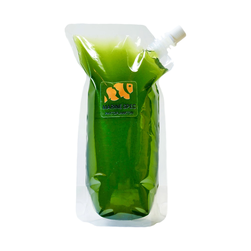 Marine Spec live nannochloropsis phytoplankton pouch full of dark green culture