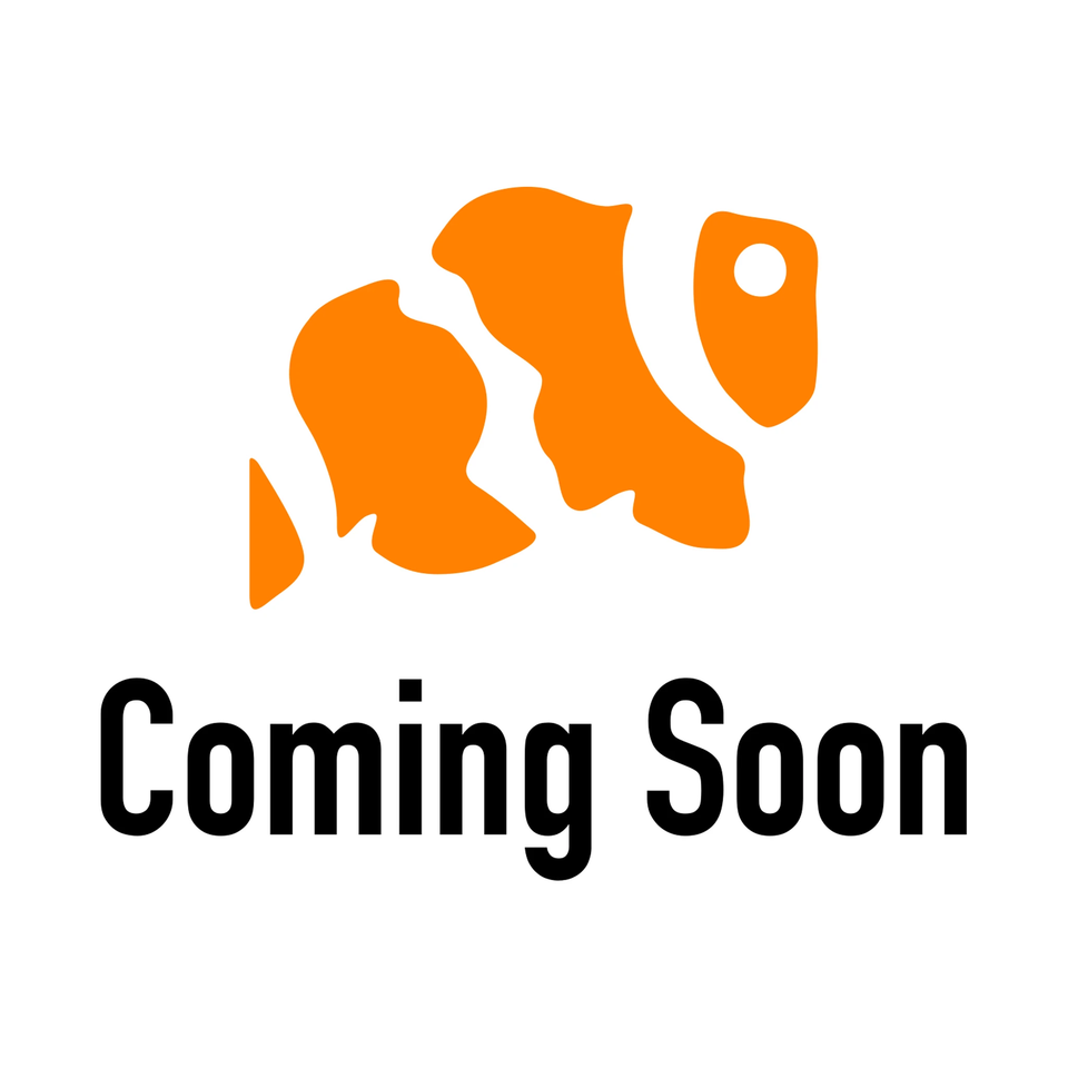 Marine Spec clownfish logo above the words Coming Soon, placeholder for custom stickers