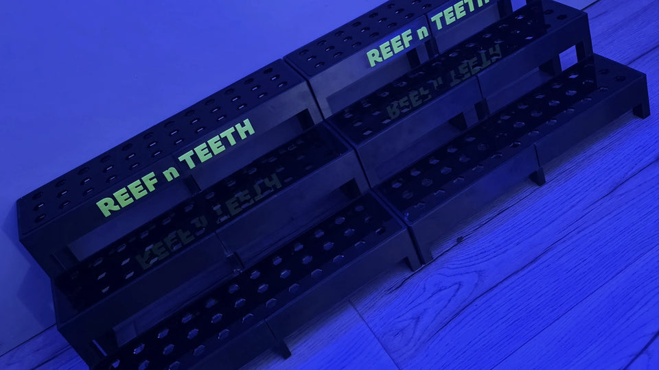 Blue lit tiered frag racks on display, a custom build by Marine Spec