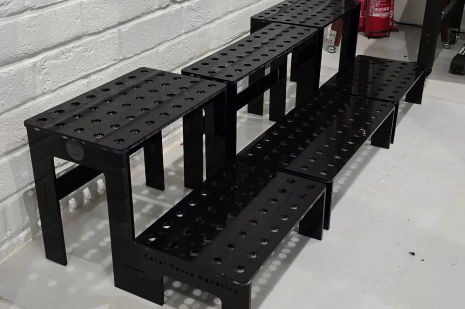 Black 3 tier acrylic frag rack with rows of holes against a white brick wall