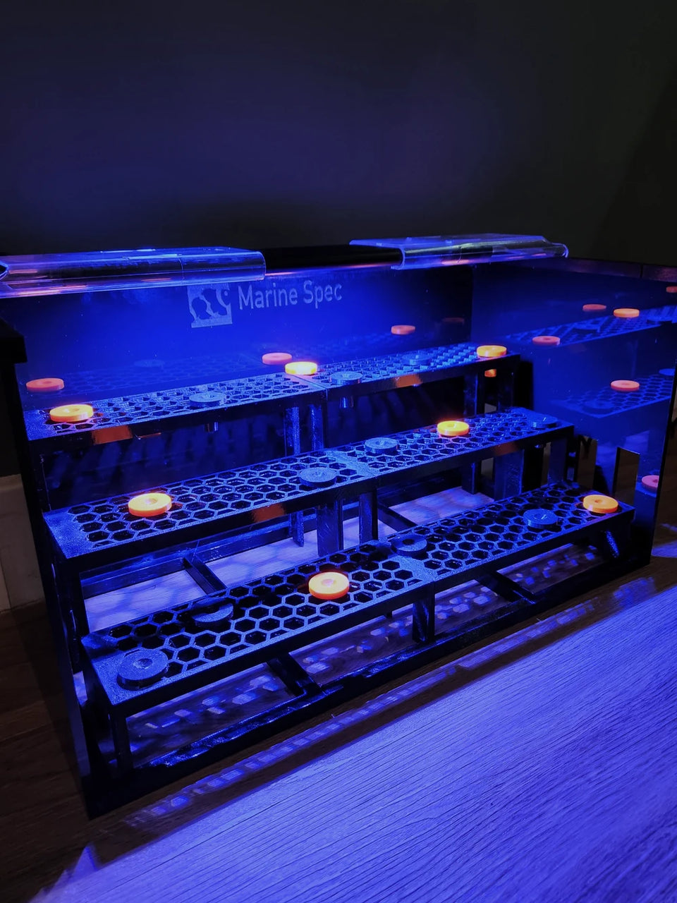 Magnetic frag rack in a blue lit tank, tight crop