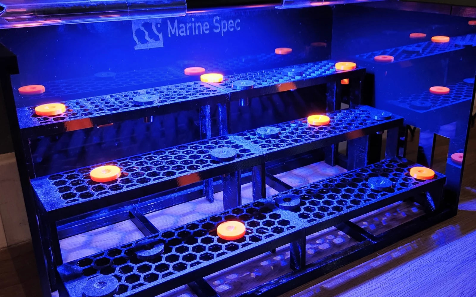 Stepped 3 tier sump frag rack lit in blue with orange topped frag plugs in a reef tank