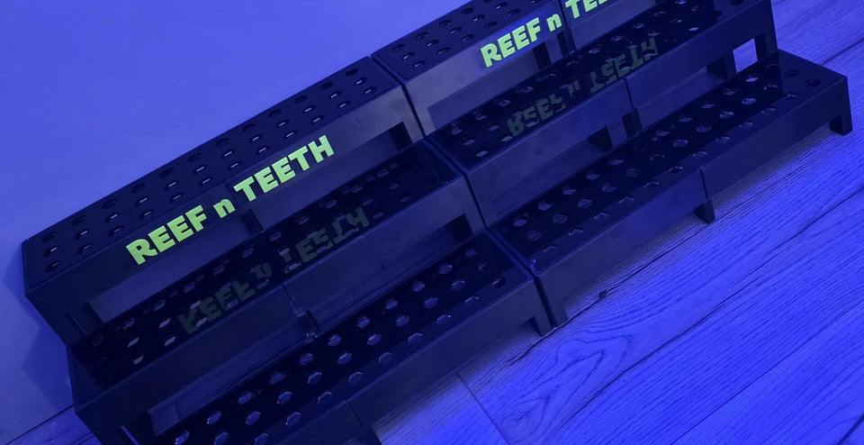 Blue lit tiered frag racks, a custom build by Marine Spec