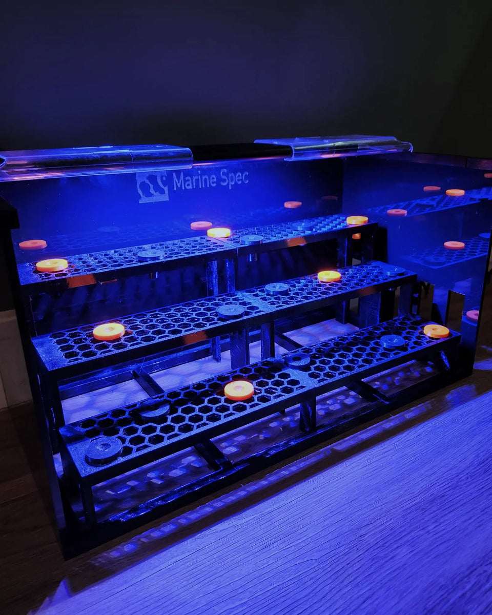 Frag rack mounted on the glass of a lit tank with orange frag plugs