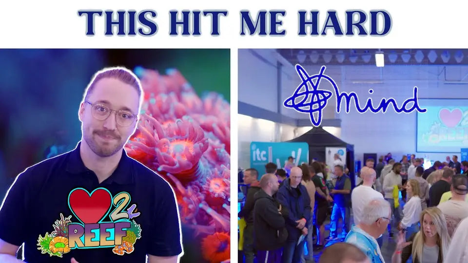 Video thumbnail: The Kindest Reefing Event on Earth | Love 2 Reef 2025